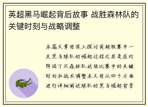 英超黑马崛起背后故事 战胜森林队的关键时刻与战略调整