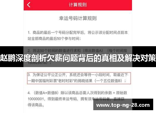 赵鹏深度剖析欠薪问题背后的真相及解决对策 赵鹏深度剖析欠薪问题背后的真相及解决对策
