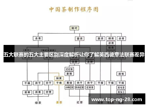 五大联赛的五大主要区别深度解析让你了解英西德意法联赛差异