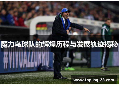 魔力鸟球队的辉煌历程与发展轨迹揭秘