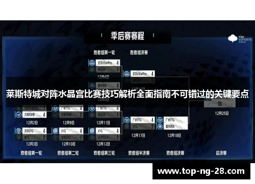 莱斯特城对阵水晶宫比赛技巧解析全面指南不可错过的关键要点