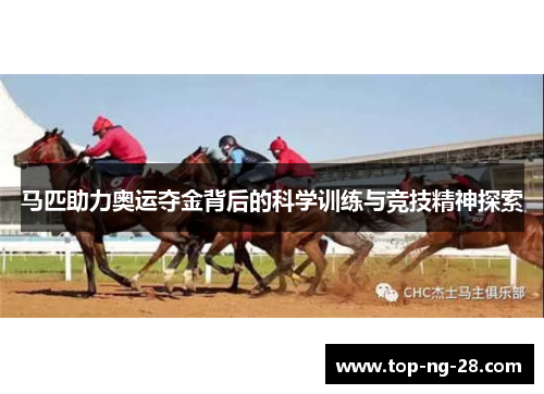 马匹助力奥运夺金背后的科学训练与竞技精神探索 马匹助力奥运夺金背后的科学训练与竞技精神探索