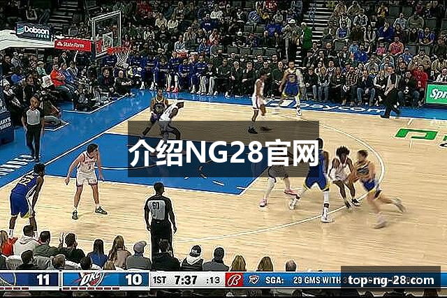 介绍NG28官网